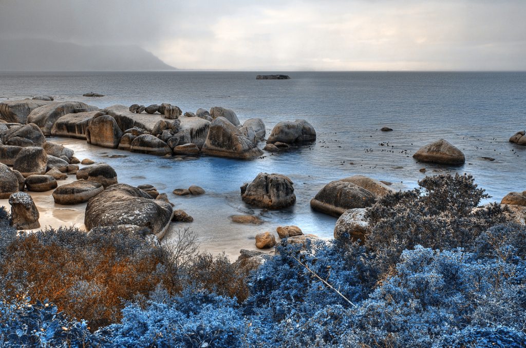 Demo Image